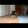 060813.borje.jpg