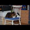 080405.borje.felix.jpg