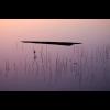 6319.landskap.vatten.jpg