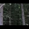 0836.skagglav.lapinmaki.jpg