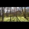Springtime