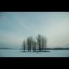 7938.landskap.sno.trad.jpg