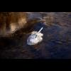 8419.sparkstotting.jpg