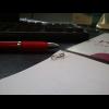 1300369319-picsay.jpg