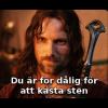 aragorn_macro.jpg