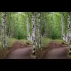 c2695_2696.stereo.stig.jpg