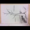 day1-tree.jpg