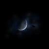 moon_bat.jpg