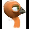 bird_head.jpg