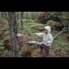 c5033.skog.sofia.ticka.jpg