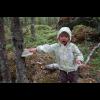 c5036.skog.sofia.ticka.jpg