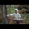 c5037.skog.sofia.ticka.jpg