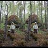 c5038-c5039.skog.sofia.sten.jpg