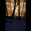 c6416.sol.sno.glitter.jpg