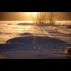 c6419.sol.sno.glitter.jpg